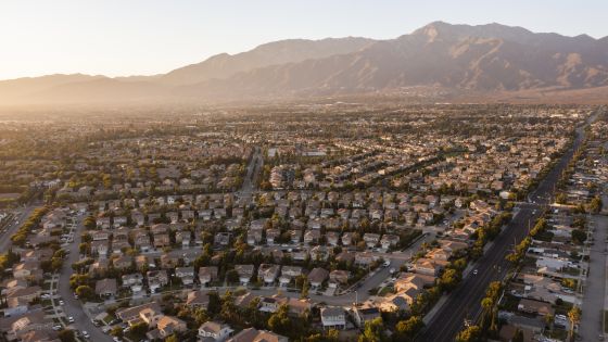 Adoption in Rancho Cucamonga