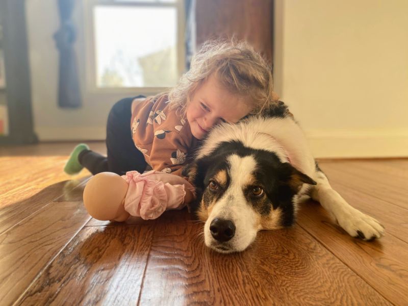 Our Dog, Asta, Is So Gentle & Patient With Kids