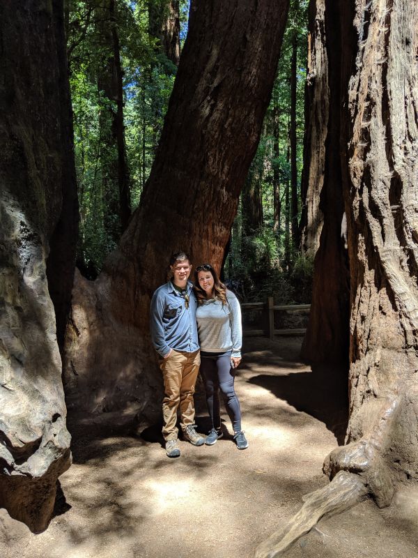 Seeing the Redwoods