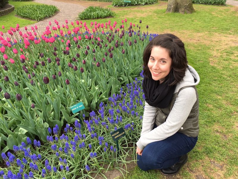 Visiting a Tulip Garden in the Netherlands