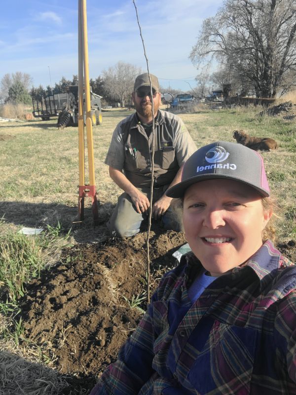 Planting Fruit Trees