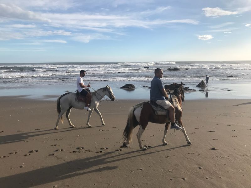 Horseback Riding