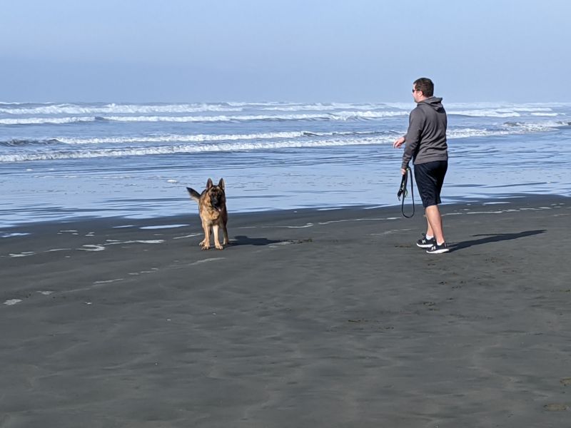 Walking Our Dog on the Beach