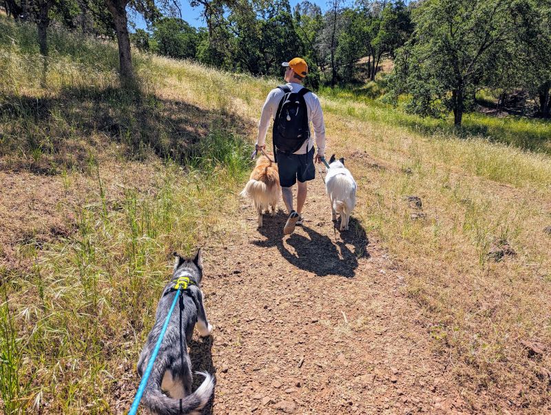 Family Hike  Near Our Home