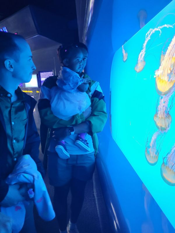 At the Aquarium