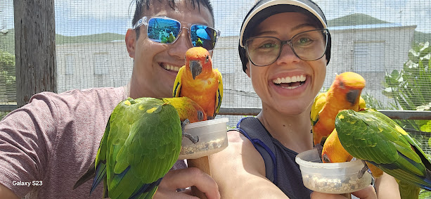 Feeding the Birds at a Tropical Bird Sanctuary