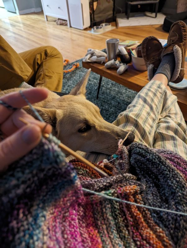 Knitting on the Couch