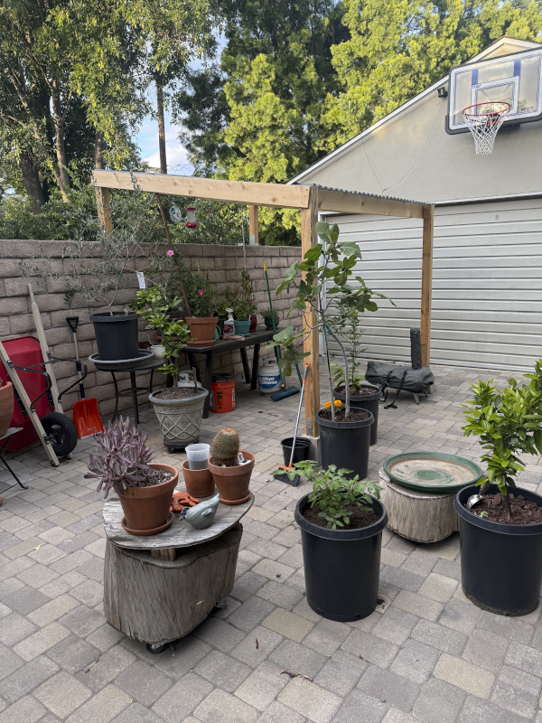 Mike's Garden