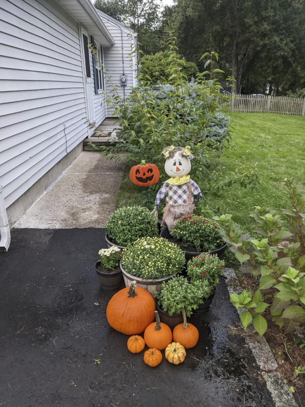 Getting Ready for Fall