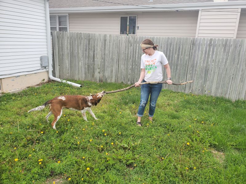 Tug-of-War
