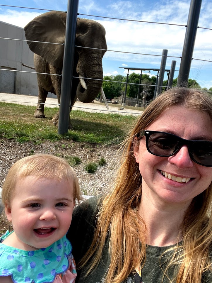At the Zoo