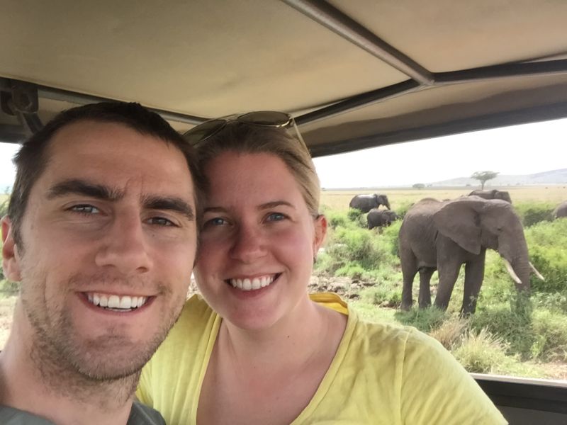 Elephants on an African Safari