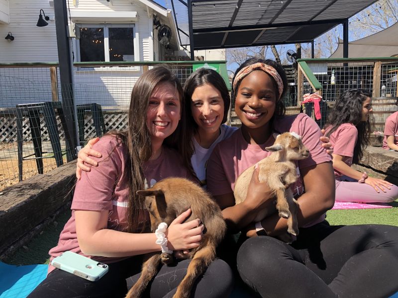 Goat Yoga With Friends