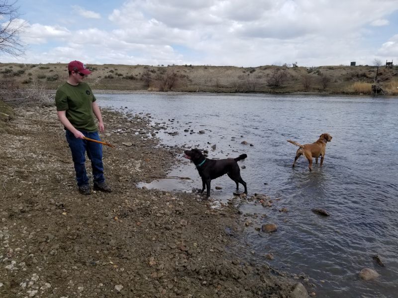 Playing Fetch with Kimer and Navi